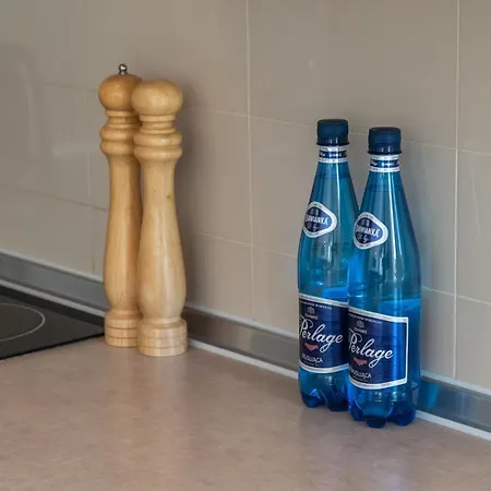 Morskie Oko V By Renters Apartmán